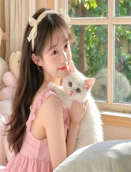 特别收录：《快乐的艾罗卡》娱乐指数：观赏性与娱乐价值综合评价